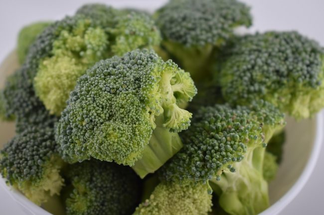 broccoli for dogs