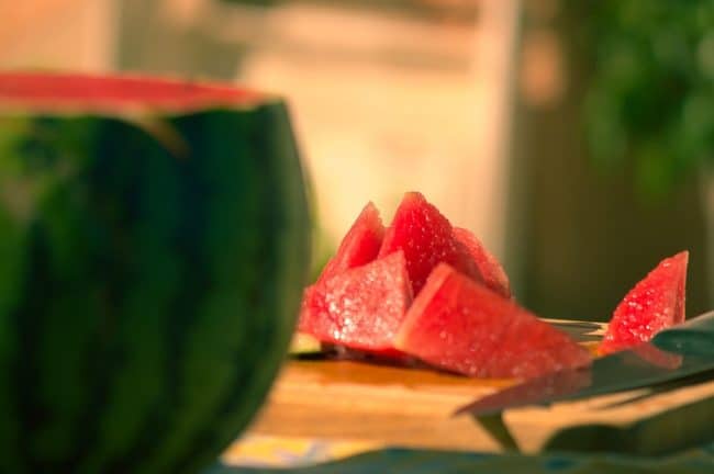 wild watermelon before man domesticated